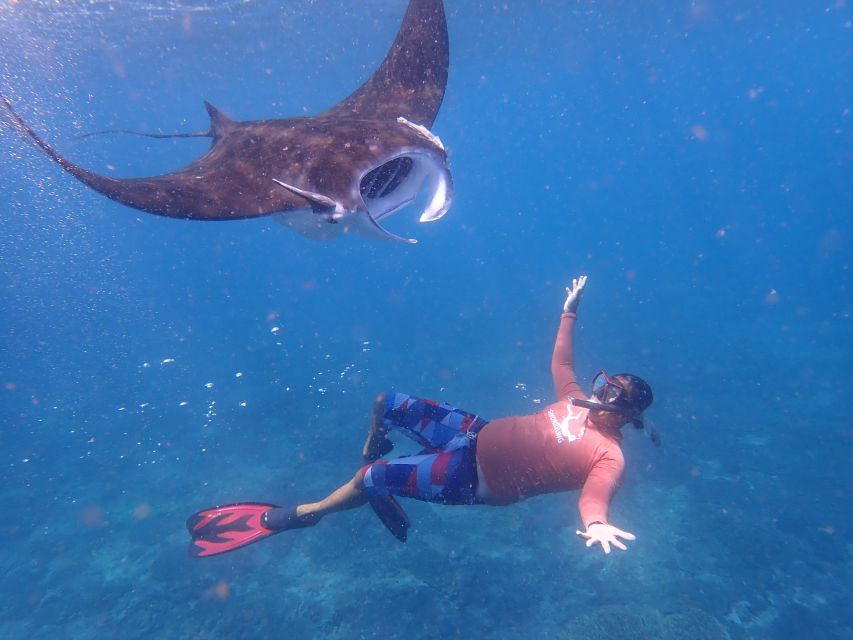 From Bali: 3 Snorkeling Spots Tour to Lembongan and Penida - Price and logistics: why about $55 can make sense