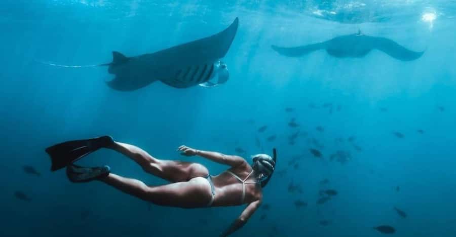 From Bali: Nusa Penida Full Day Private Snorkeling Tour - Quick hits