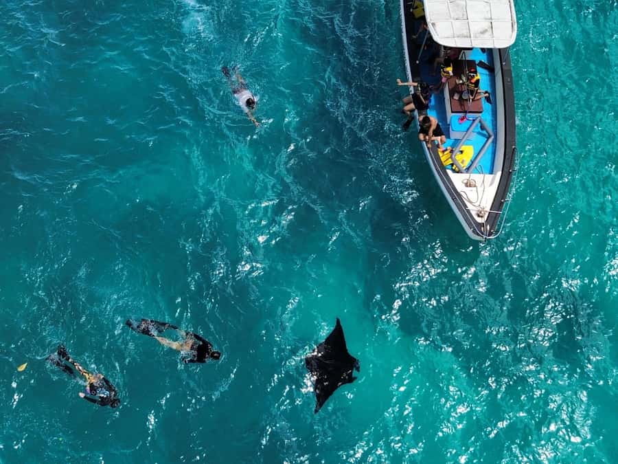 From Bali: Nusa Penida Full Day Private Snorkeling Tour - Manta Bay: the manta-ray focus with the real odds