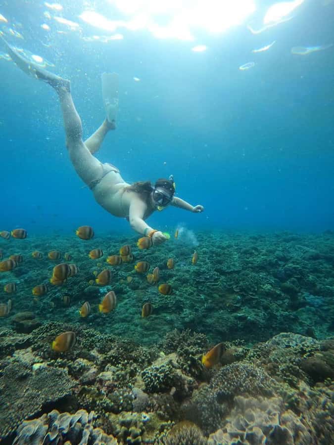 From Bali: Nusa Penida Full Day Private Snorkeling Tour - Crystal Bay: calmer water, reef color, and turtle sightings