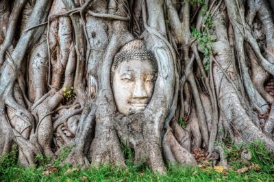 From Bangkok: Ayutthaya & Ayothaya Floating Market Day Trip - Getting Started From Sukhumvit Without Wasted Time