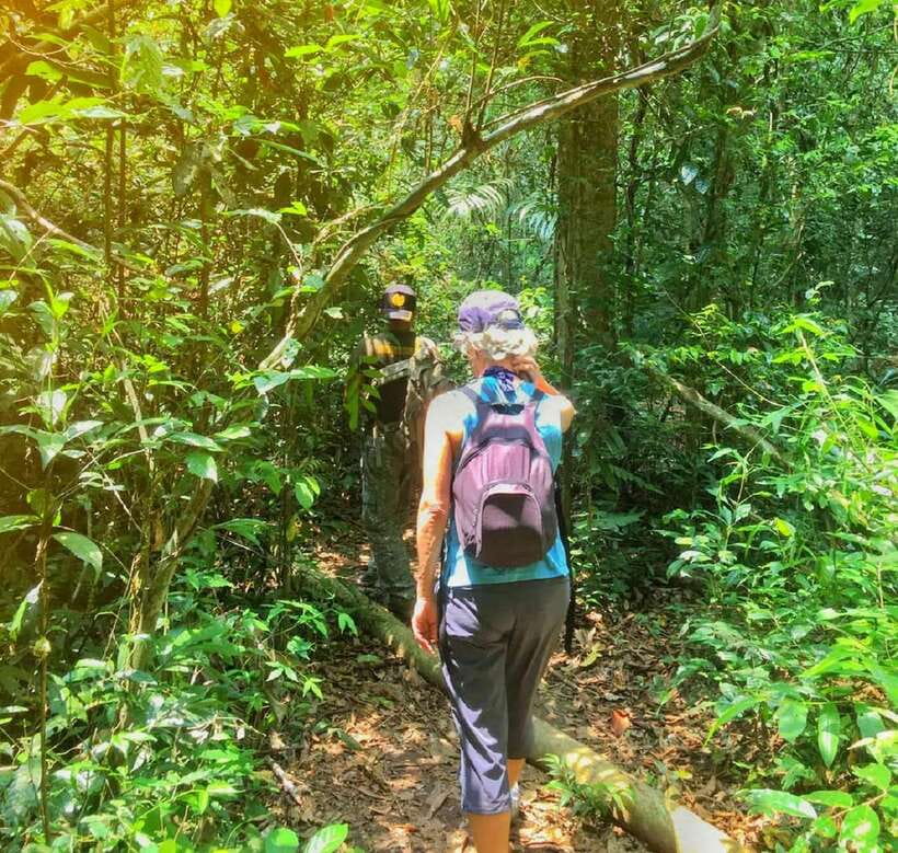 From Bangkok: Khao Yai National Park Small-Group Day Trip - Getting from Bangkok to Khao Yai without turning it into a headache