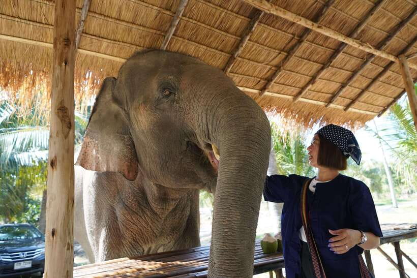 From Bangkok: Living Green Elephant Sanctuary Day Trip - Price and Value: Is $57 a Good Deal from Bangkok?