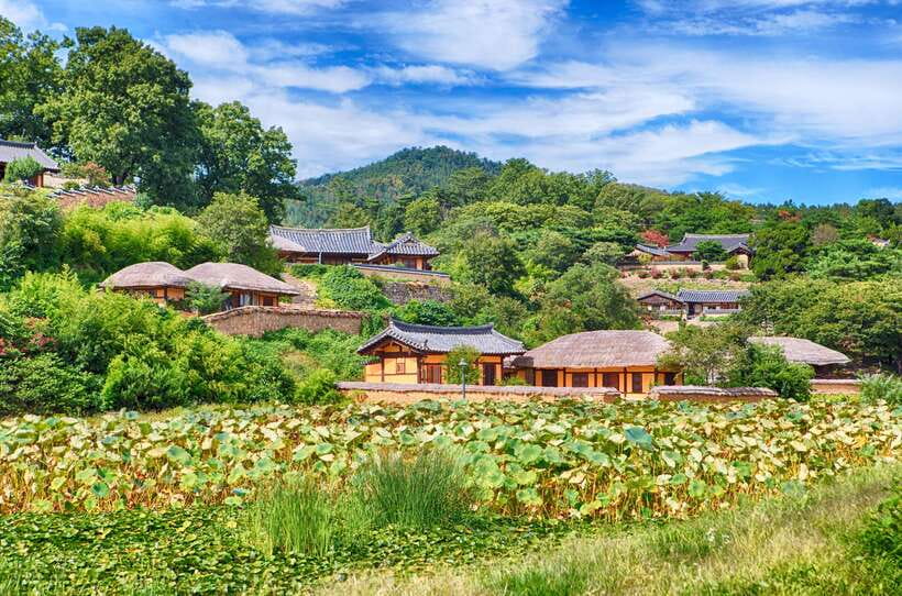 From Busan: Gyeongju UNESCO World Heritage Guided Day Tour - Price and value: what you’re really paying for at $52