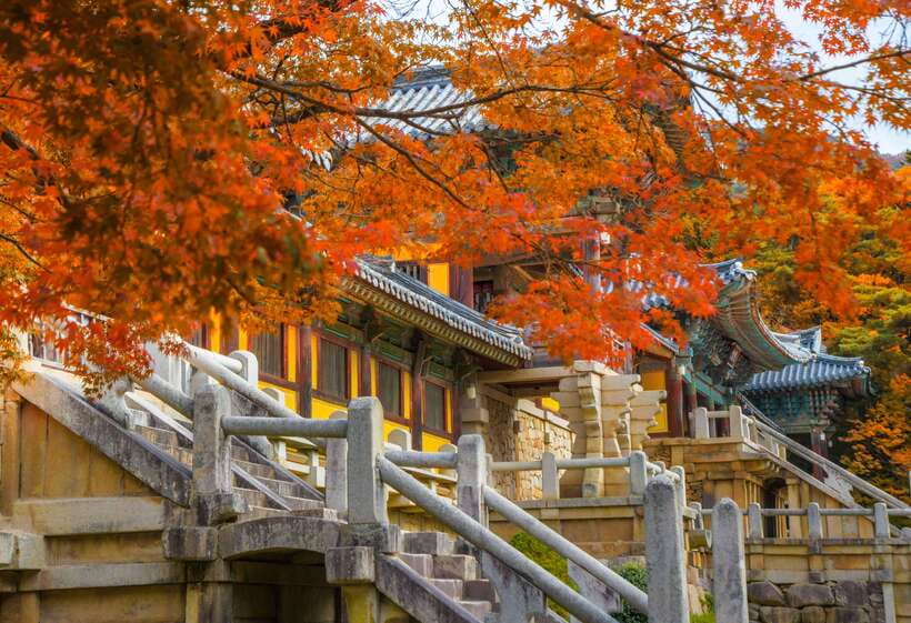 From Busan: Gyeongju UNESCO World Heritage Guided Day Tour - Bulguksa Temple: craftsmanship you can actually see