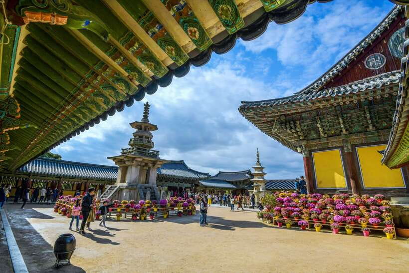 From Busan: Gyeongju UNESCO World Heritage Guided Day Tour - Yangdong Village or Gyochon: two hanok worlds, different moods