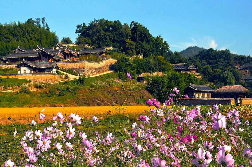 From Busan: Gyeongju UNESCO World Heritage Guided Day Tour - Daereungwon Royal Tomb Complex and Hwangnidan-gil: kings, then snacks
