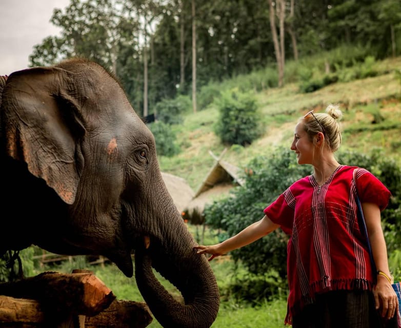 From Chiang Mai: Kerchor Eco Elephant Park Tour - Getting from Chiang Mai to Kerchor Eco Elephant Park (without stress)