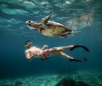 From Gili Air: Snorkeling with Turtles & Underwater Statue - Starting at Oseana in Gili Air: gear, fins, and a quick safety reset