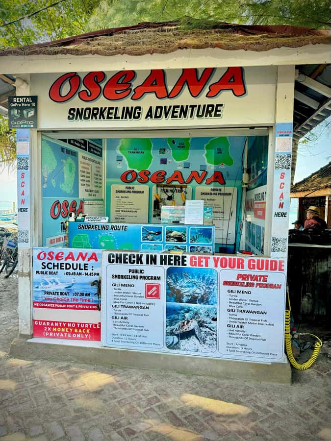 From Gili Air: Snorkeling with Turtles & Underwater Statue - Three snorkeling spots built for turtles and coral variety