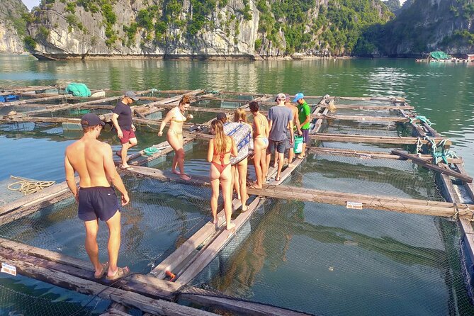 From Ha Noi/Cat Ba: Full-Day Cruise to Lan Ha bay - Ha Long Bay - Morning in Lan Ha Bay: Cai Beo fishing village and quieter cruising
