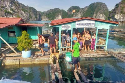 From Ha Noi/Cat Ba: Full-Day Cruise to Lan Ha bay - Ha Long Bay - Getting to the boat: pickup, meeting point, and what to expect