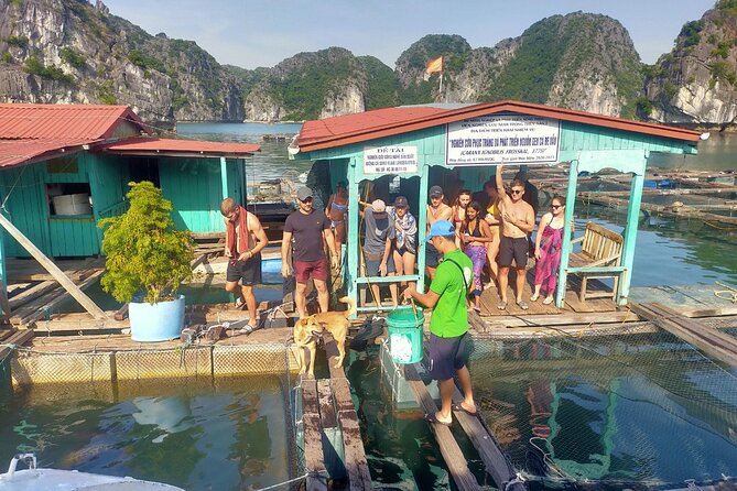 From Ha Noi/Cat Ba: Full-Day Cruise to Lan Ha bay - Ha Long Bay - Getting to the boat: pickup, meeting point, and what to expect