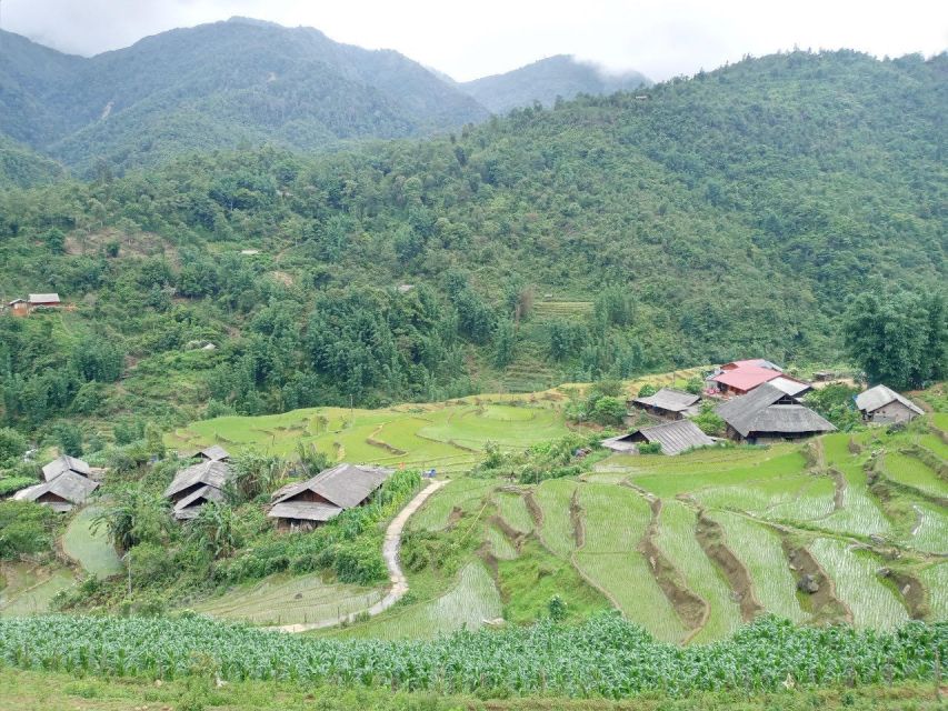 From Hanoi: 2-Day Sapa Trekking Trip with Homestay & Meals - Price and value: why $71 can make sense on this specific route