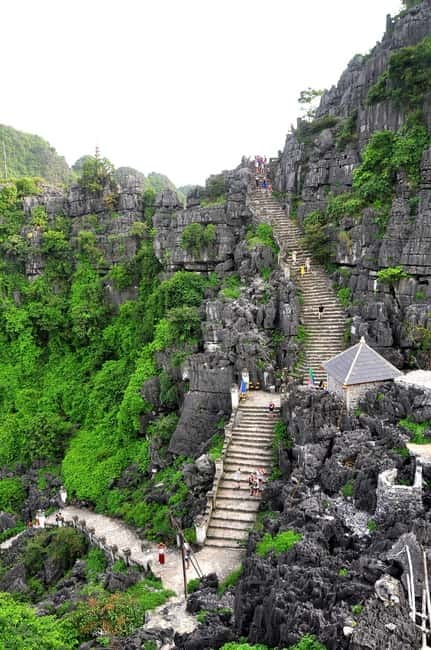From Hanoi: Tam Coc Boat Trip and Hoa Lu & Mua Cave Tour - Lunch at Ninh Binh: buffet convenience with real food value