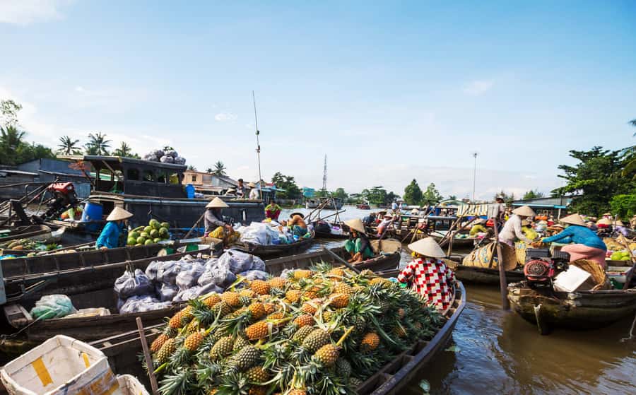 From HCM: Mekong Delta & Cai Rang Floating Market 2-Day Tour - Can Tho overnight: the part that makes 2 days feel different
