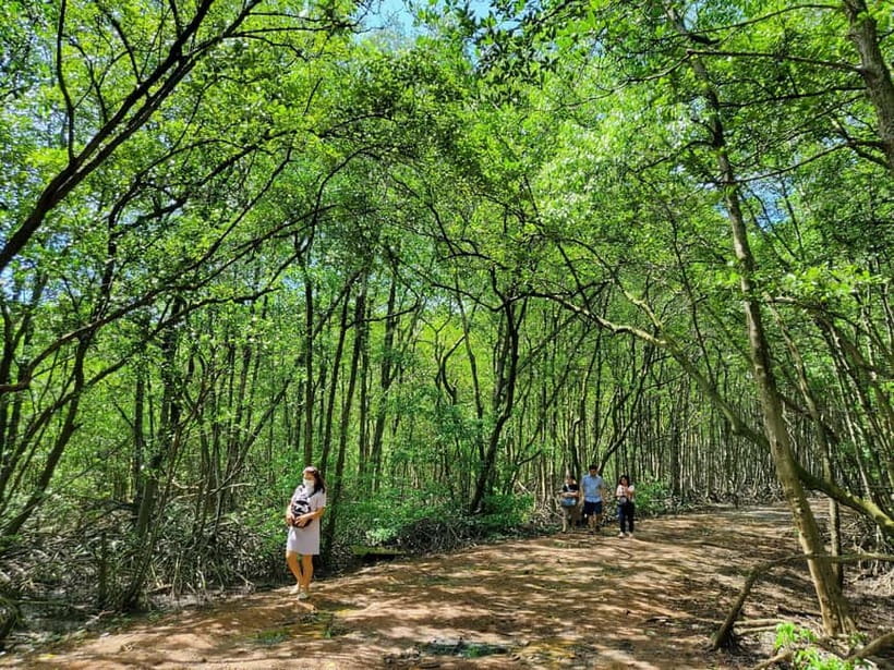From Ho Chi Minh City: Can Gio Mangrove & Monkey Island Trek - Getting to Can Gio From Ho Chi Minh City: ferry time, coach time, and real expectations