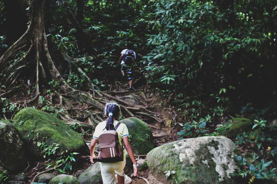 From Khao Lak: Khao Sok Jungle Hike & River Tour - Key Things You’ll Remember From This Day in Khao Sok