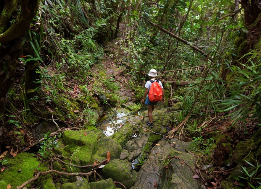 From Khao Lak: Khao Sok Jungle Hike & River Tour - Thai Lunch: The Meal That Keeps the Day From Dragging