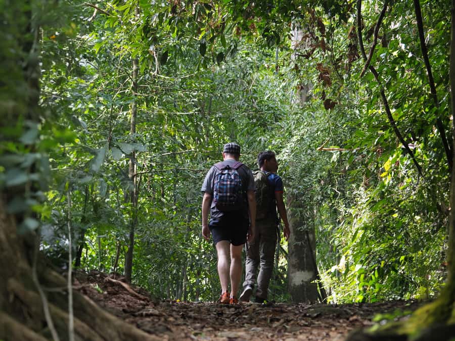 From Khao Lak: Khao Sok Jungle Hike & River Tour - Price and Value: Is $95 a Good Deal?