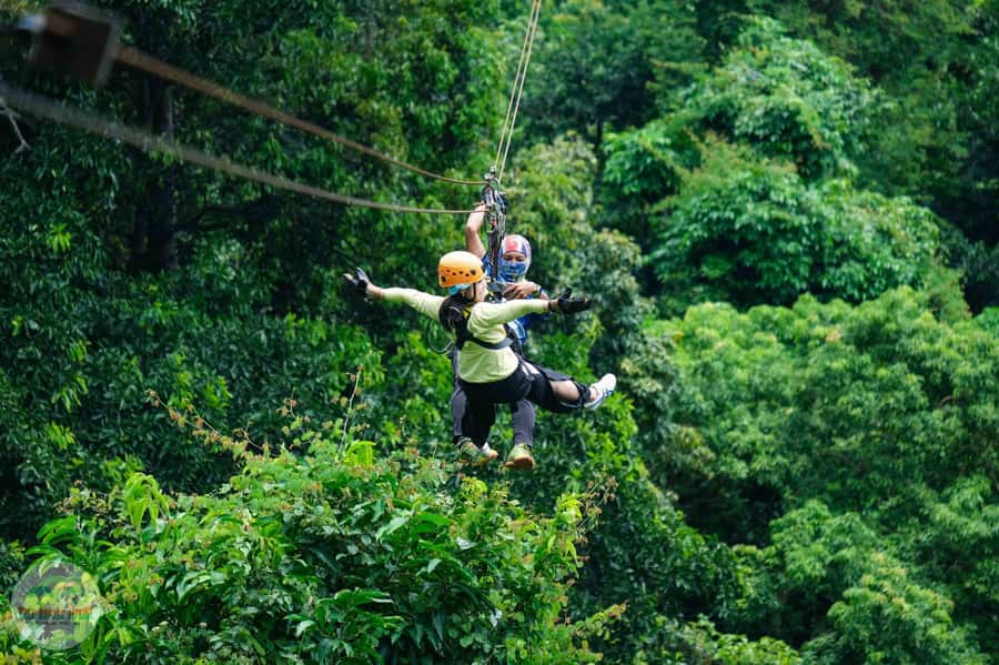 From Koh Samui: Tree Bridge Zipline and Café Experience - Key things to know before you go