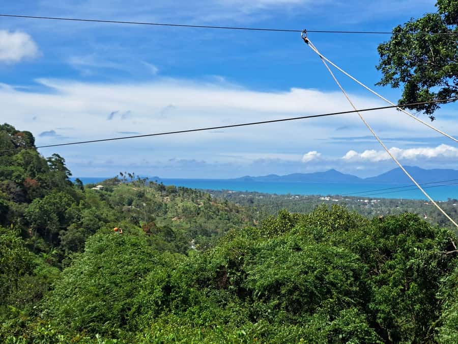From Koh Samui: Tree Bridge Zipline and Café Experience - Who this is best for—and who should skip it