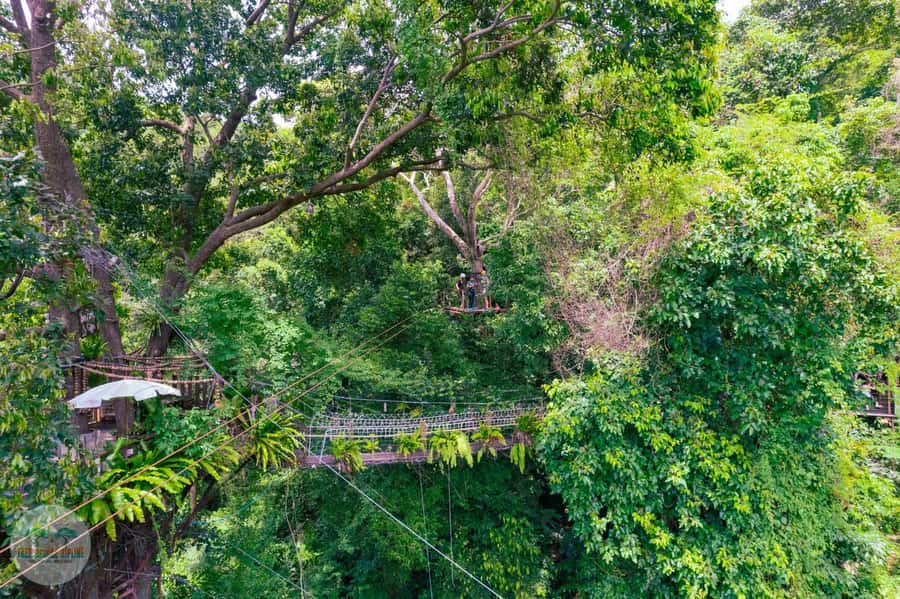 From Koh Samui: Tree Bridge Zipline and Café Experience - Value and pricing: why $60 can make sense on Koh Samui
