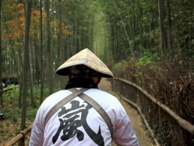 From Kyoto/Osaka: Kyoto Top Highlights 1-Day Guided Bus Tour - The route order shifts after April 1