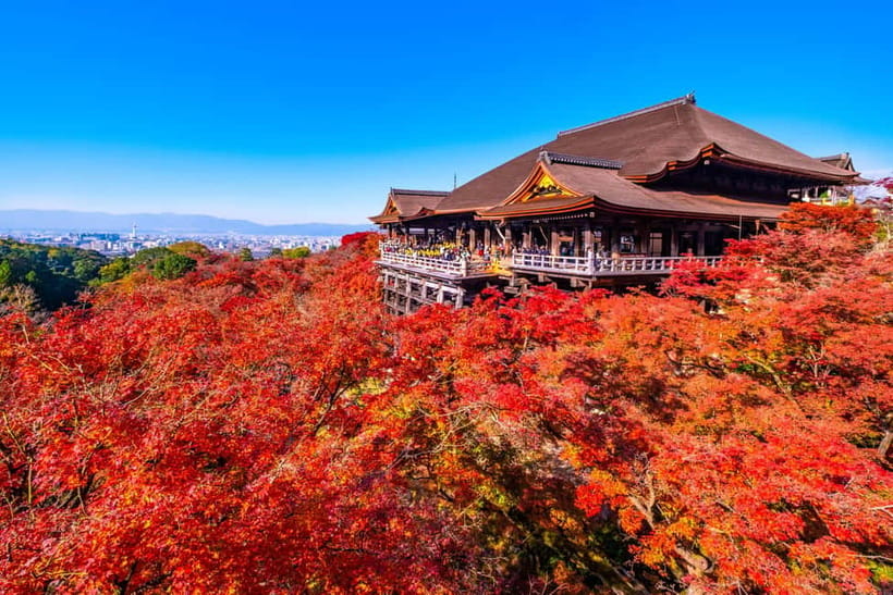 From Kyoto/Osaka: Kyoto Top Highlights 1-Day Guided Bus Tour - Coach comfort, Wi-Fi, and the walking reality