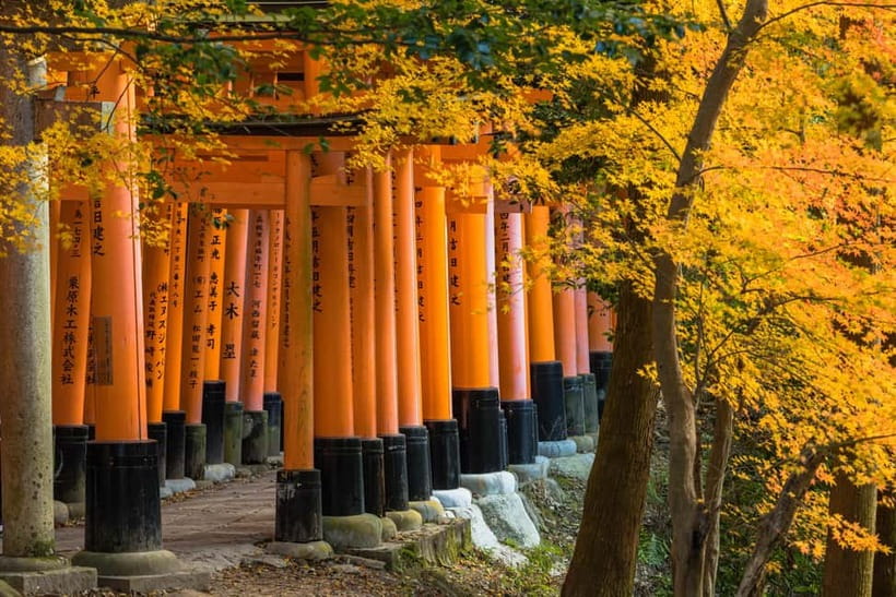 From Kyoto/Osaka: Kyoto Top Highlights 1-Day Guided Bus Tour - Price and what you actually get for $51