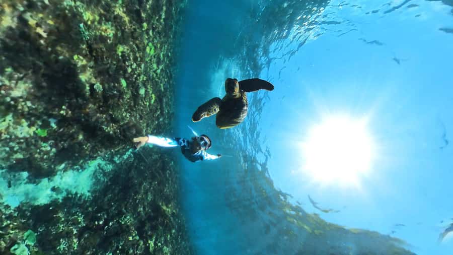From Lembongan: Nusa Penida Snorkeling Day Trip - Quick takeaways before you go