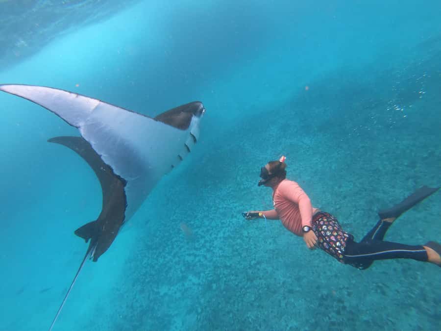 From Lembongan: Nusa Penida Snorkeling Day Trip - Why this Nusa Penida trip feels worth the money