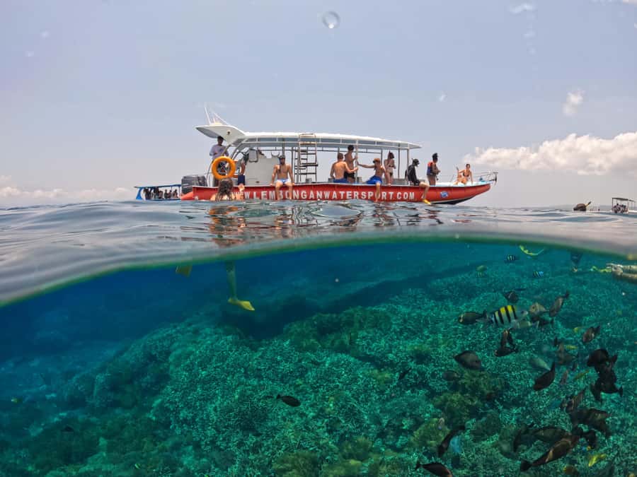 From Lembongan: Nusa Penida Snorkeling Day Trip - The rules that keep this experience enjoyable (and ethical)