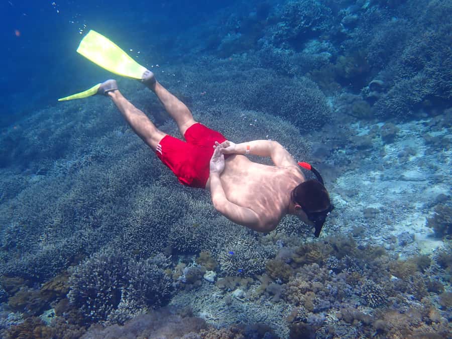 From Lembongan: Nusa Penida Snorkeling Day Trip - Getting to the water: pickup, meeting points, and how the day starts
