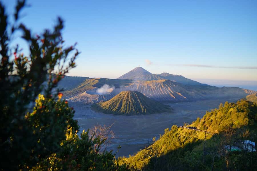 From Malang: 1-Day Mount Bromo Shared Trip - The jeep ride back: tired legs, still worth it