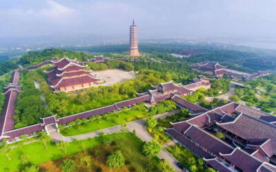 From Ninh Binh: Hoa Lu, Bai Dinh, Trang An, & Mua Cave Tour - Pickup, van comfort, and why the timing is actually helpful