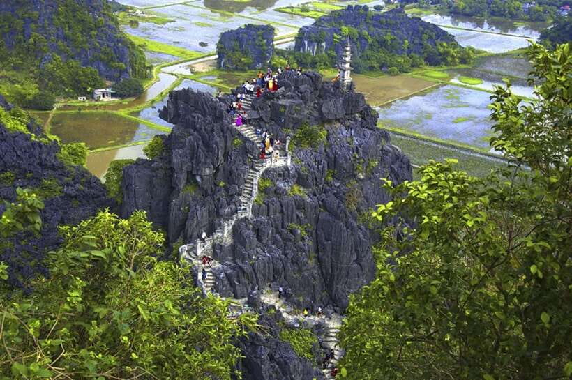 From Ninh Binh: Hoa Lu, Bai Dinh, Trang An, & Mua Cave Tour - Lunch at noon: buffet Vietnamese food with vegetarian choices