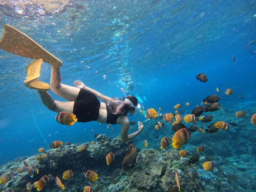 From Nusa Penida: 3 Spots Snorkeling Tour with Manta Rays - Crystal Bay and the other snorkeling stops: coral, turtles, and fish time
