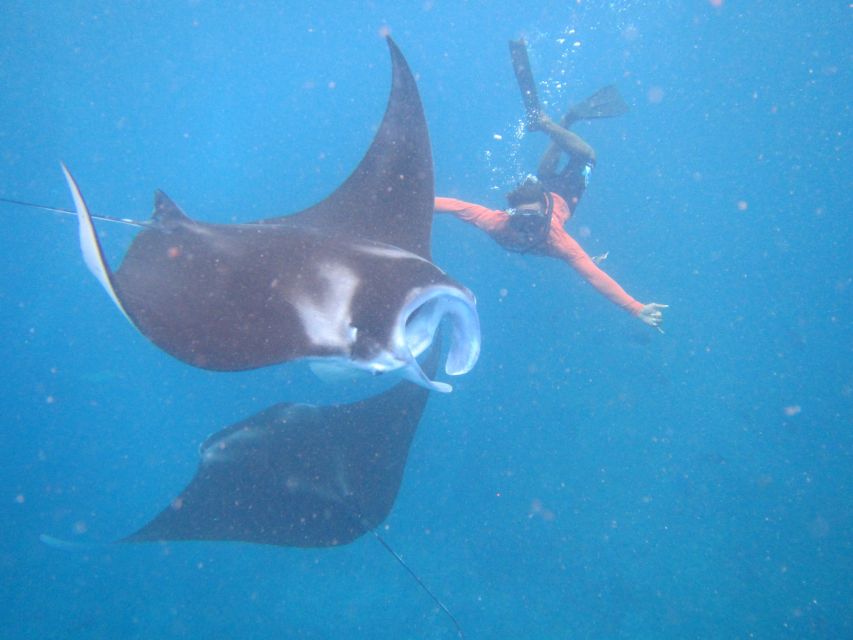 From Nusa Penida: 3 Spots Snorkeling Tour with Manta Rays - Mesari Beach Restaurant lunch: the warm reset you need
