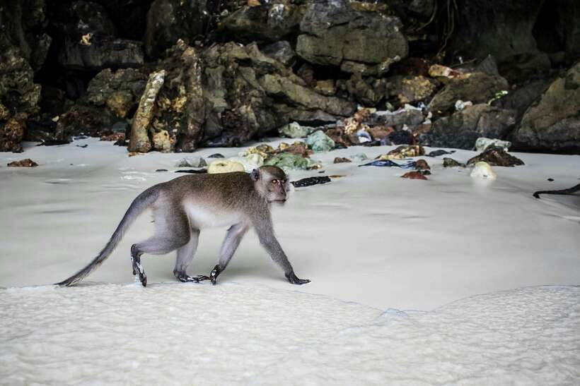 From Phi Phi: Full Day 7 Island Tour by Longtail with Sunset - Meeting in Tonsai Bay: the one logistics detail people trip on