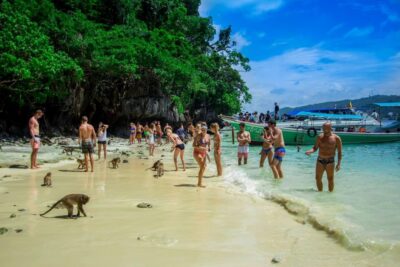 From Phi Phi: Half-Day Longtail Boat Tour with Snorkeling - Monkey Beach: wild macaques, quick rules, and better photos from a distance