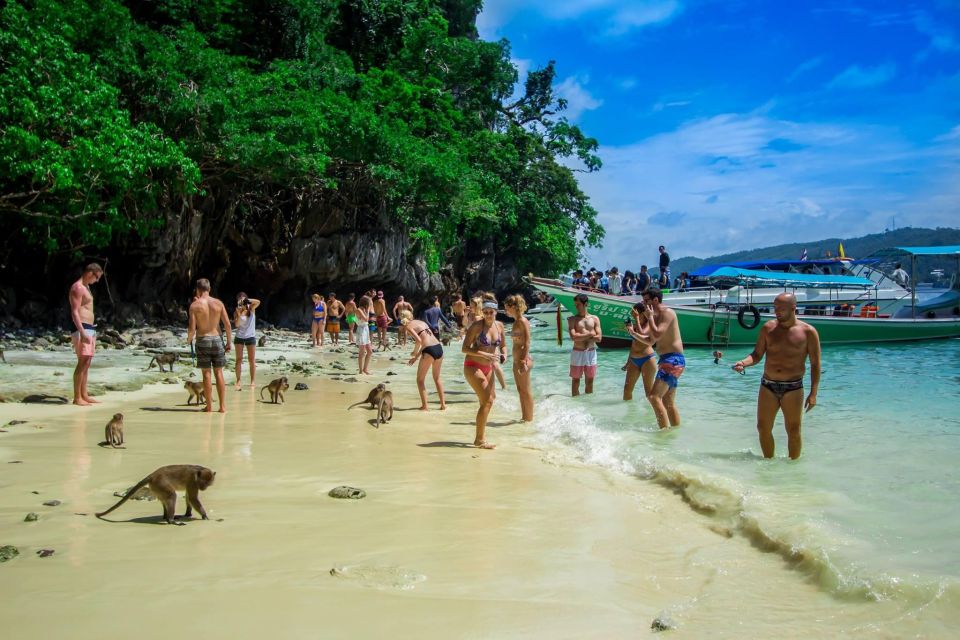 From Phi Phi: Half-Day Longtail Boat Tour with Snorkeling - Monkey Beach: wild macaques, quick rules, and better photos from a distance