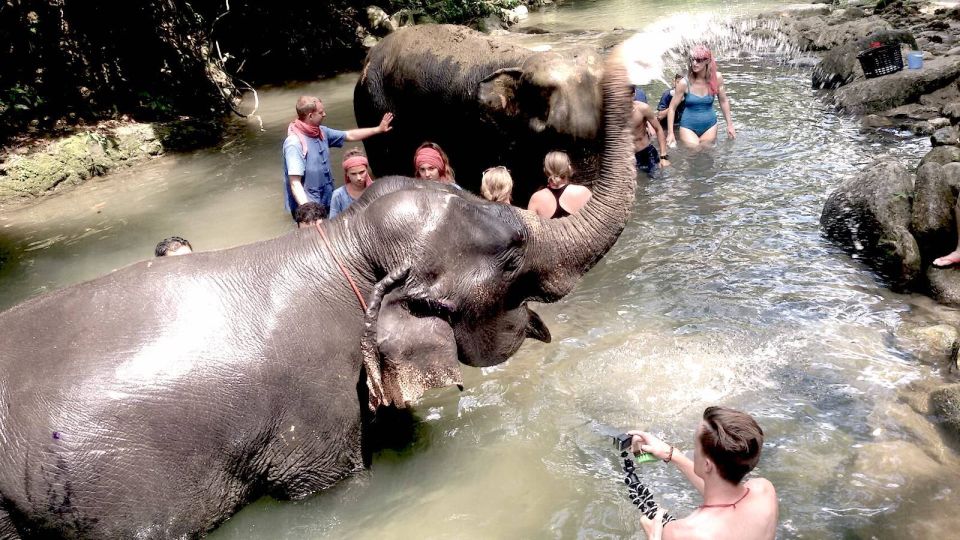 From Phuket: Elephant Care Experience with Rafting & Zipline - Who should book this elephant + rafting + zipline day