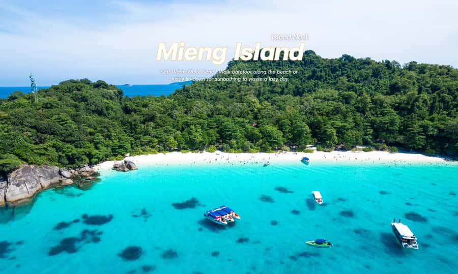From Phuket or Khaolak : Similan Islands Day Trip - Price and Value: What $99 Really Buys You