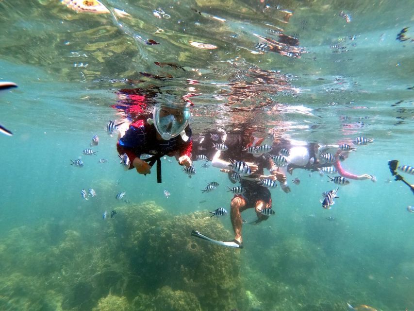 From Phuket: Phi Phi, Maya Bay, & Khai Islands Premium Trip - Monkey Beach Rules: How to See Monkeys Without Making It Weird