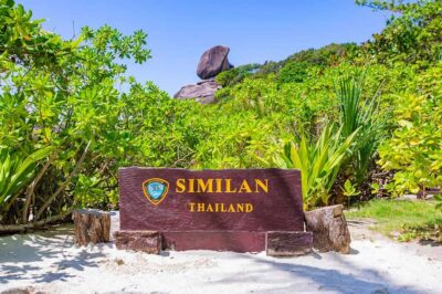 From Phuket: Similan Islands Snorkeling Trip by Speedboat - Pier check-in, hot drinks, and safety briefing you’ll want