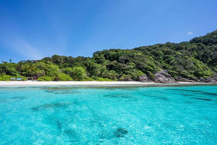 From Phuket: Similan Islands Snorkeling Trip by Speedboat - The speedboat reality check: comfort, noise, and seasickness