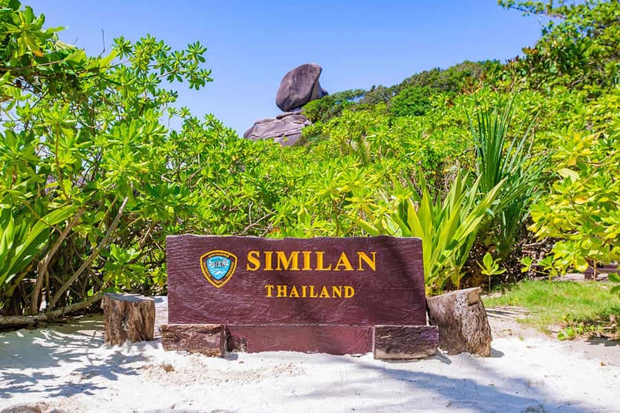 From Phuket: Similan Islands Snorkeling Trip by Speedboat - Pier check-in, hot drinks, and safety briefing you’ll want