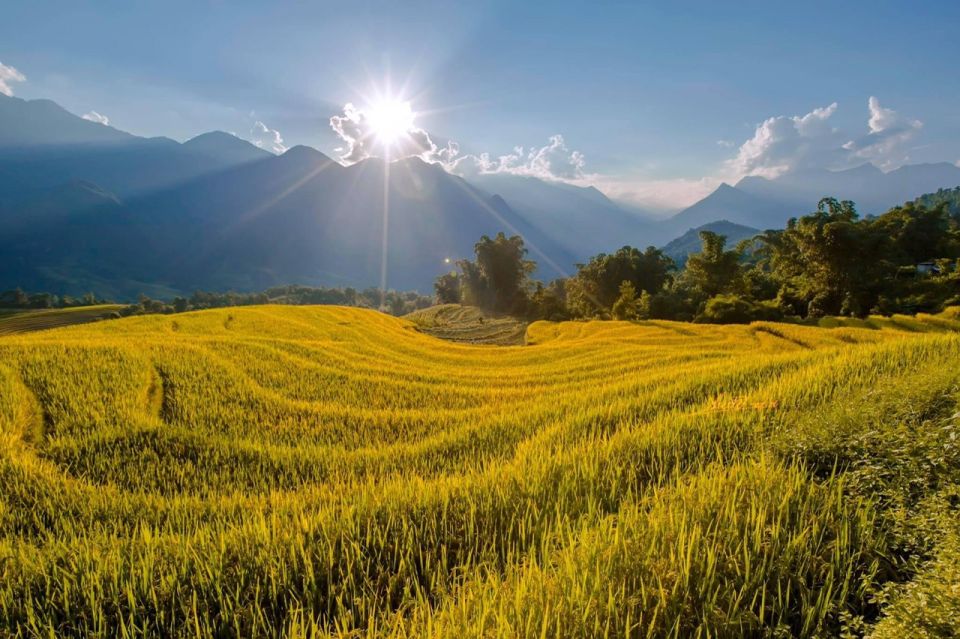 From Sapa: 1-Day Guided Trek to Lao Chai & Ta Van with Lunch - Price and value: why $34 can be a good deal here