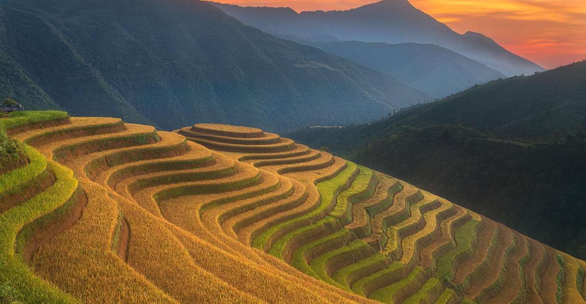From Sapa: 1-Day Guided Trek to Lao Chai & Ta Van with Lunch - Trek to Lao Chai: rice terraces, the Muong Hoa–Y Linh Ho stream, and Hoang Lien Son